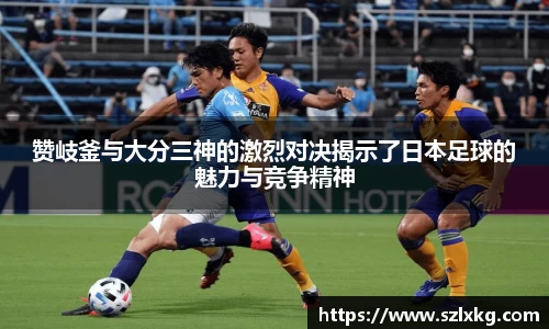 意昂体育登录入口